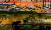 Camargue_detail 1 Camargue detail 1