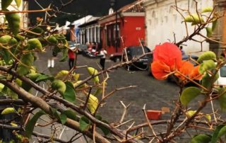 Fascinations Streets